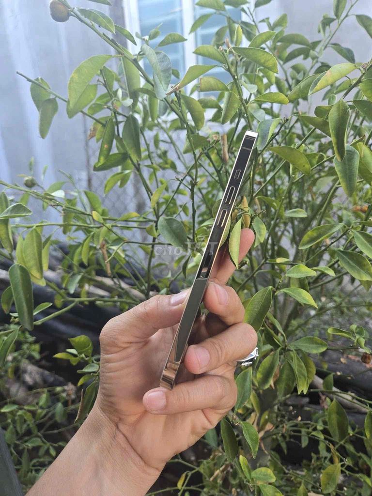 Apple iPhone 12 Pro Max Vàng Đã thay pin. Mua bán Điện thoại tại Thành phố Rạch Giá Kiên Giang được đăng bởi HÀ NGUYỄN  hình 1