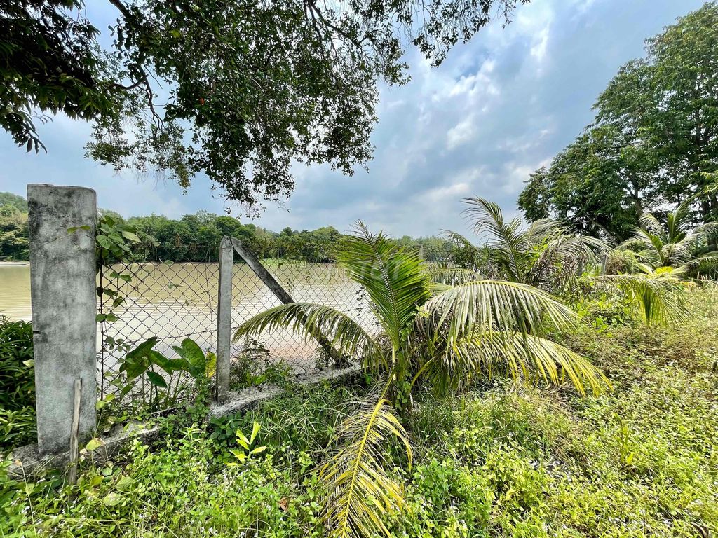 bán đất vườn cạnh sông SG xã An Phú dt : 2886m2 thổ cư 90m2  - 6,3 tỷ. Mua bán Đất tại Huyện Củ Chi Tp Hồ Chí Minh được đăng bởi Đào dung hình 4