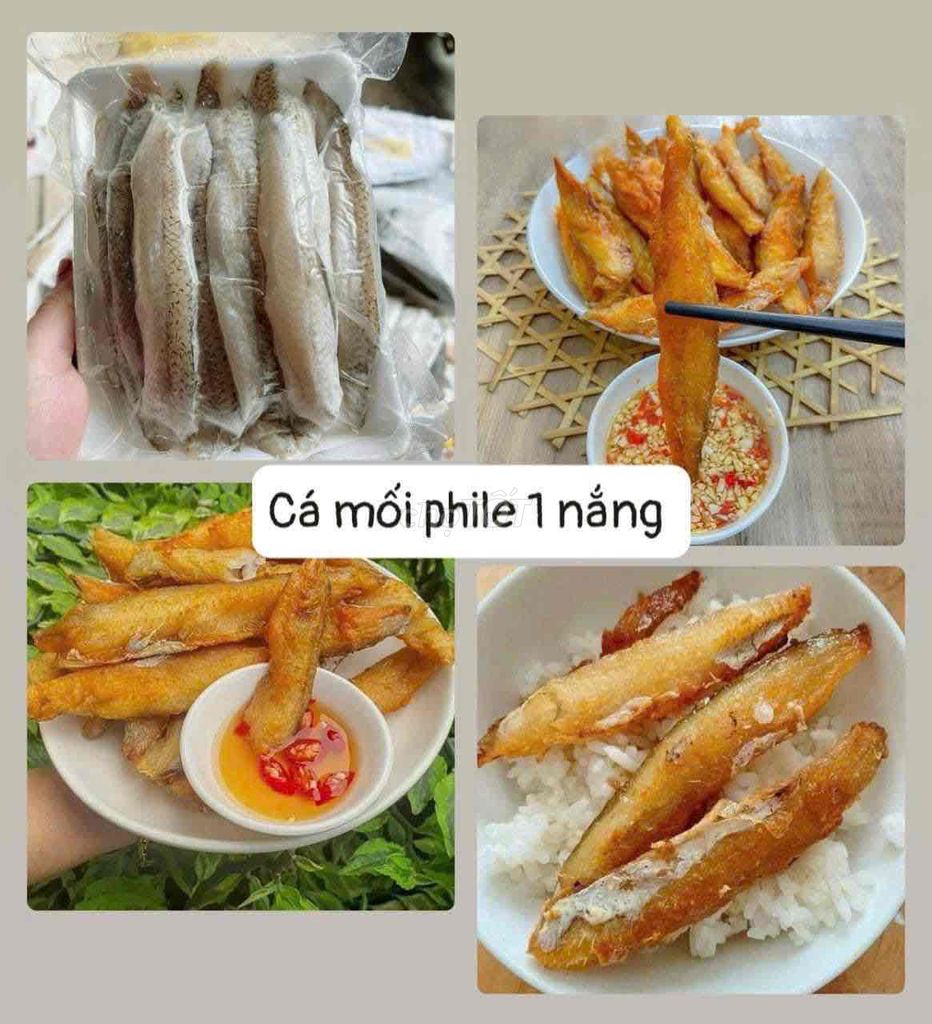 Mối Phile 1 Nắng