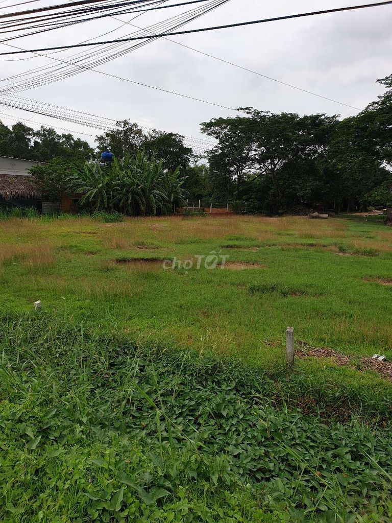 Cần bán gấp lô đất vị trí đắc địa mặt tiền đường 823 â