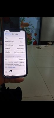 Apple iPhone 12 Đỏ Đã sử dụng