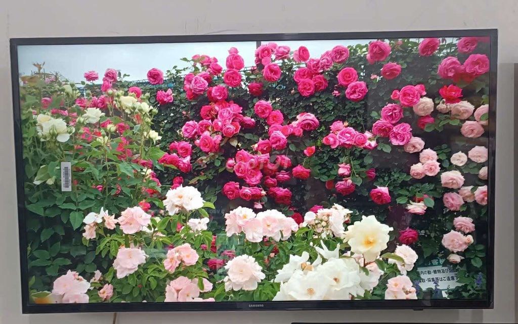 🚀 THANH LÝ SMARRT TIVI SAMSUNG 43 INCH 🚀. Mua bán Tivi, Âm thanh tại Quận Cẩm Lệ Đà Nẵng được đăng bởi Nguyễn Thị Ngọc hình 1