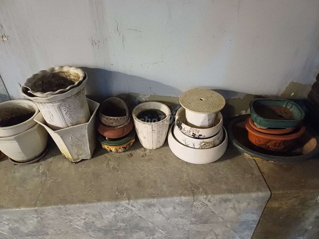 Chậu cây gốm sứ Đồng Nai. Mua bán Cây cảnh, đồ trang trí tại Huyện Nhà Bè Tp Hồ Chí Minh được đăng bởi sang hình 1