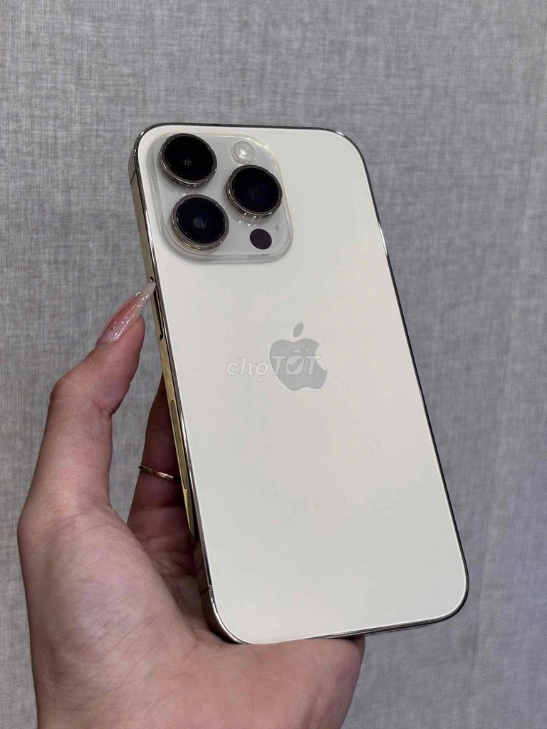 iPhone 14 Pro 128GB Vàng Qte Mỹ Pin New 100 929283. Mua bán Điện thoại tại Quận Ninh Kiều Cần Thơ được đăng bởi Quý Mobile Cần thơ hình 1