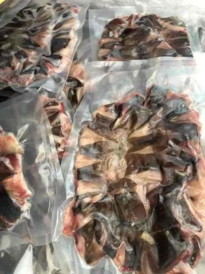 KHÔ CÁ ĐUỐI MỘT NẮNG BIỂN CẦN GIỜ. Mua bán Đồ ăn, thực phẩm và các loại khác tại Quận Gò Vấp Tp Hồ Chí Minh được đăng bởi Sami FnB