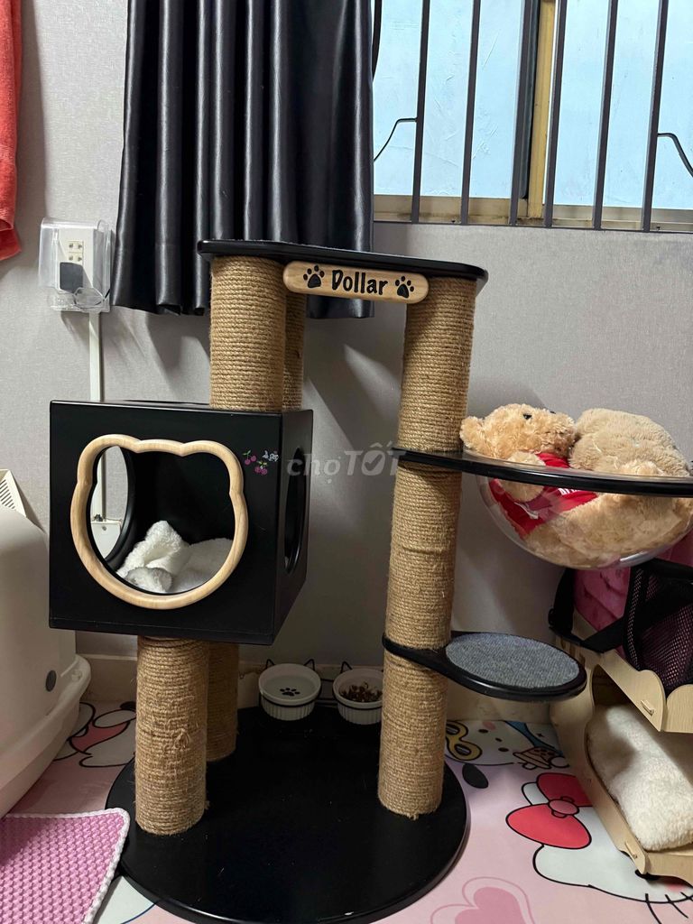 Trụ cào móng mèo Dollar. Mua bán Phụ kiện, Thức ăn, Dịch vụ tại Quận 1 Tp Hồ Chí Minh được đăng bởi Trần Hoàng Thiên hình 1