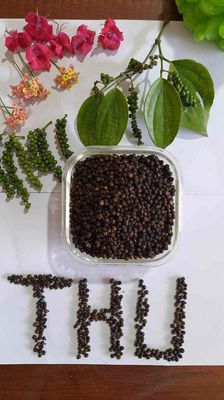 Tiêu đen tiêu sạch chính góc Gia Lai. Mua bán Đồ ăn, thực phẩm và các loại khác tại Quận 12 Tp Hồ Chí Minh được đăng bởi Võ Nhật Việt