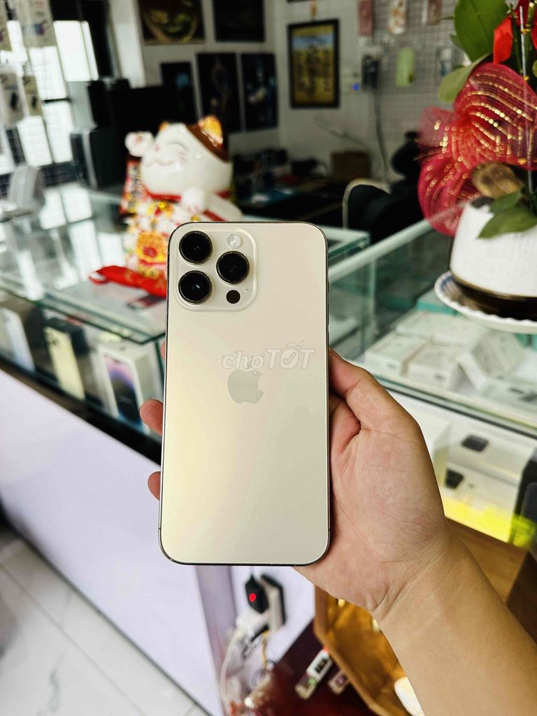 Apple iPhone 14 Pro Max 256G Gold . quốc tế. Mua bán Điện thoại tại Thị xã Phú Mỹ Bà Rịa - Vũng Tàu được đăng bởi Bi Táo hình 1