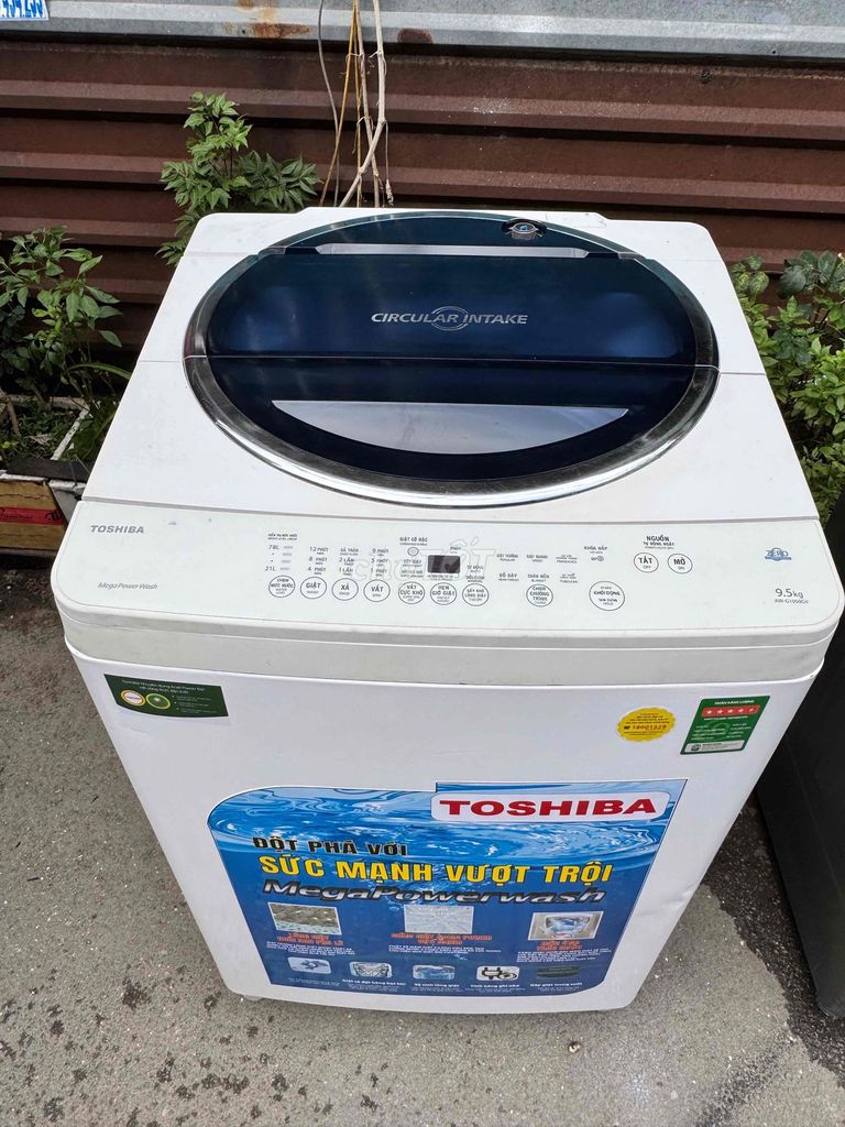 Máy giặt Toshiba 9.5kg cửa trên Trắng. Mua bán Máy giặt tại Thành phố Thủ Đức Tp Hồ Chí Minh được đăng bởi Nhi Nhi hình 1