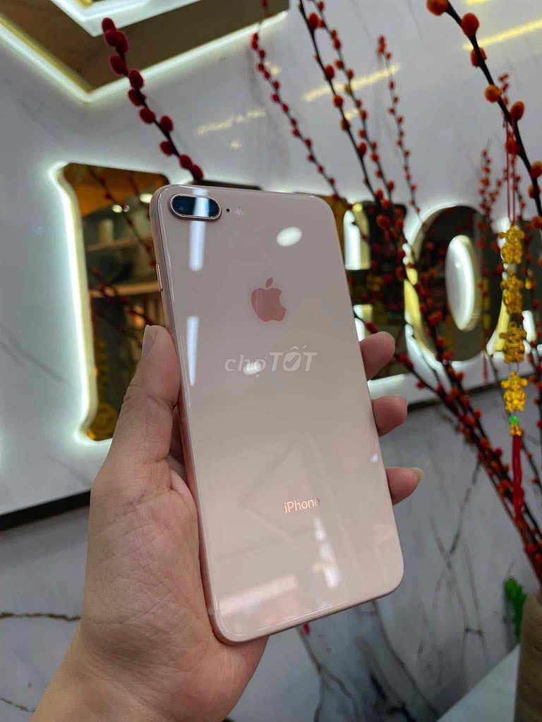 iphone 8plus 64gb zin đẹp pin 100% full chức năng. Mua bán Điện thoại tại Quận Tân Bình Tp Hồ Chí Minh được đăng bởi Shop Trung Văn Apple Watch hình 1