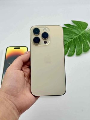 iPhone 14 Pro 256GB Gold FULLBOX BH APPLE 06/2024