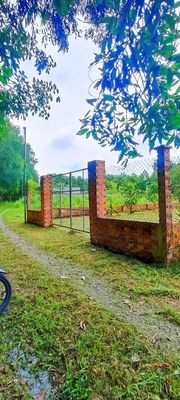 Bán 303mv đất Visip2 Vĩnh Tân TP HCM