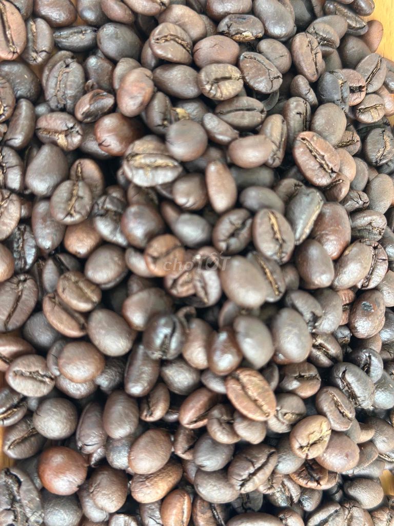 CAFE HẠT RANG ROBUSTA. Mua bán Đồ ăn, thực phẩm và các loại khác tại Huyện Thoại Sơn An Giang được đăng bởi Phương Nhân hình 2