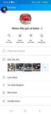 Nhóm bán cá. Mua bán Thú cưng khác tại Huyện Lấp Vò Đồng Tháp được đăng bởi Đăng Khoa
