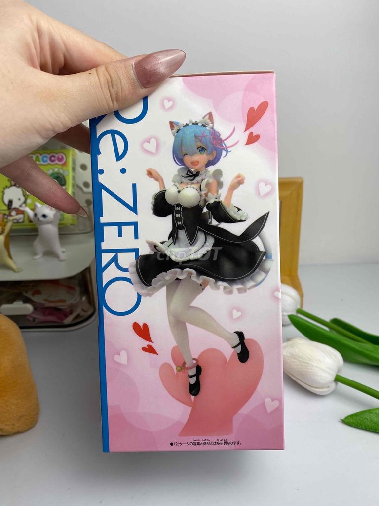 Pass mô hình Rem Cat