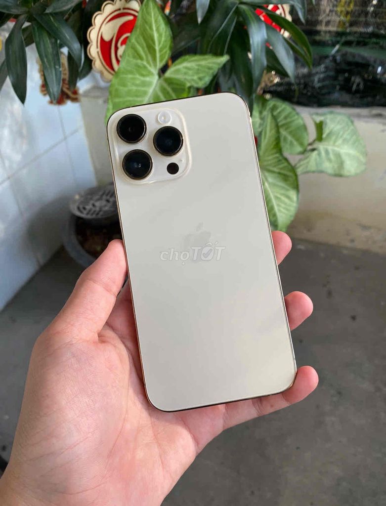 iPhone 14 Pro Max 1TB Quốc Tế Gold. Mua bán Điện thoại tại Quận Ninh Kiều Cần Thơ được đăng bởi Ty Xperia hình 1