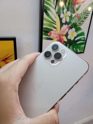 Apple Iphone 12 Pro max Quốc tế máy zin áp 100%. Mua bán Điện thoại tại Huyện Cần Giờ Tp Hồ Chí Minh được đăng bởi Nguyen Thanh Phuc
