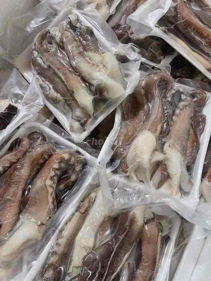 Bạch tuộc 1kg chắc thịt. Mua bán Đồ ăn, thực phẩm và các loại khác tại Quận Hải Châu Đà Nẵng được đăng bởi Ms Phương hình 1
