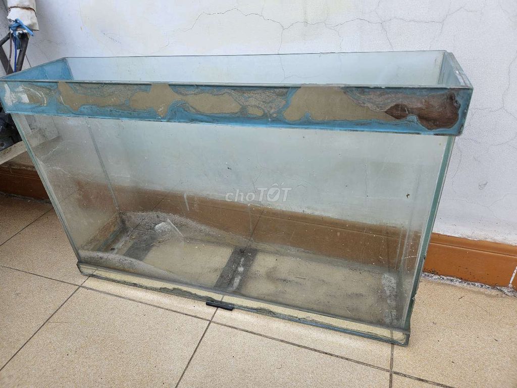 Hồ cá Kính 63x15x40cm đã qua sử dụng. Mua bán Phụ kiện, Thức ăn, Dịch vụ tại Quận Tân Bình Tp Hồ Chí Minh được đăng bởi nguyen huy duc hình 1