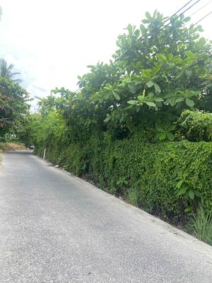 CHO THUÊ 5.000M2 ĐẤT MT - 75TR/THÁNG, ĐƯỜNG NGUYỄN NGỌC CUNG, QUẬN 8