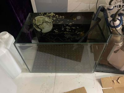 Thanh lý bể cá 60cm. Mua bán Phụ kiện, Thức ăn, Dịch vụ tại Quận 10 Tp Hồ Chí Minh được đăng bởi Bethie 