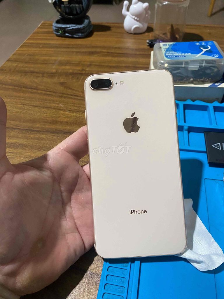 Apple iPhone 8 Plus 64GB Vàng hồng. Mua bán Điện thoại tại Quận Sơn Trà Đà Nẵng được đăng bởi hùng hình 1