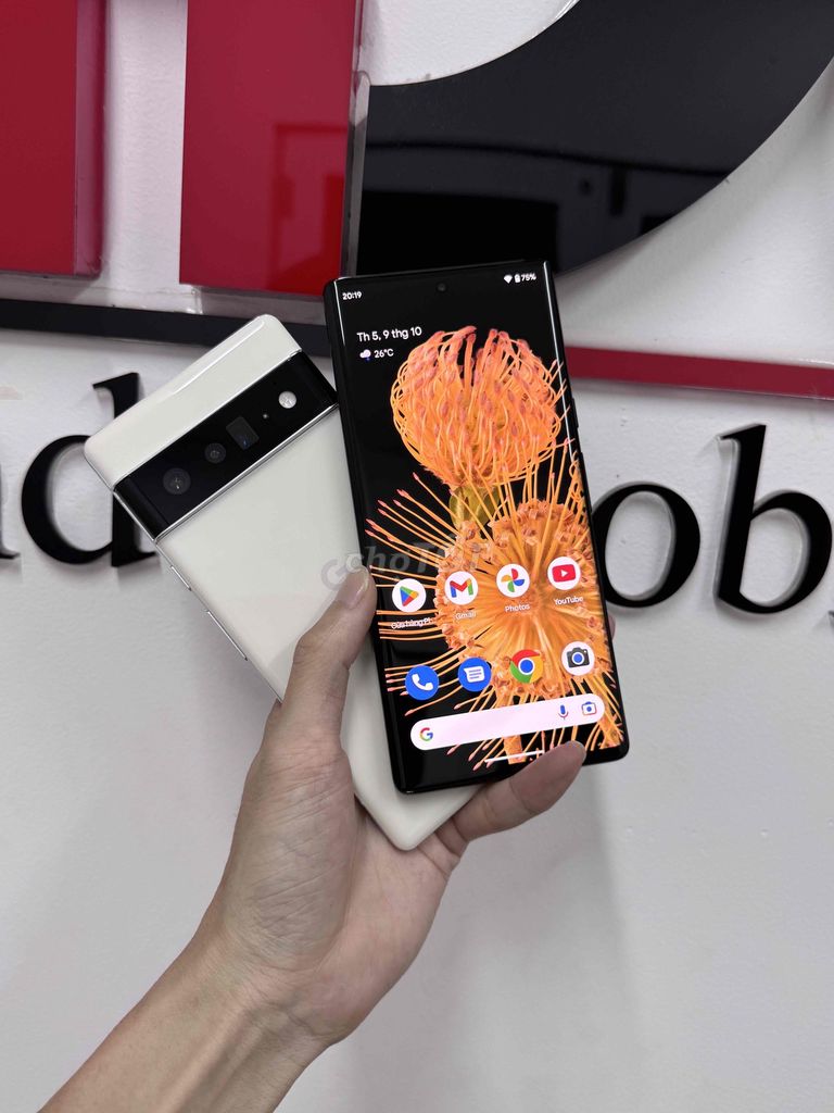 Google Pixel 6 Pro 12|128GB 2SIM. Mua bán Điện thoại tại Quận Gò Vấp Tp Hồ Chí Minh được đăng bởi Thanh Dat Mobile Go Vap hình 1
