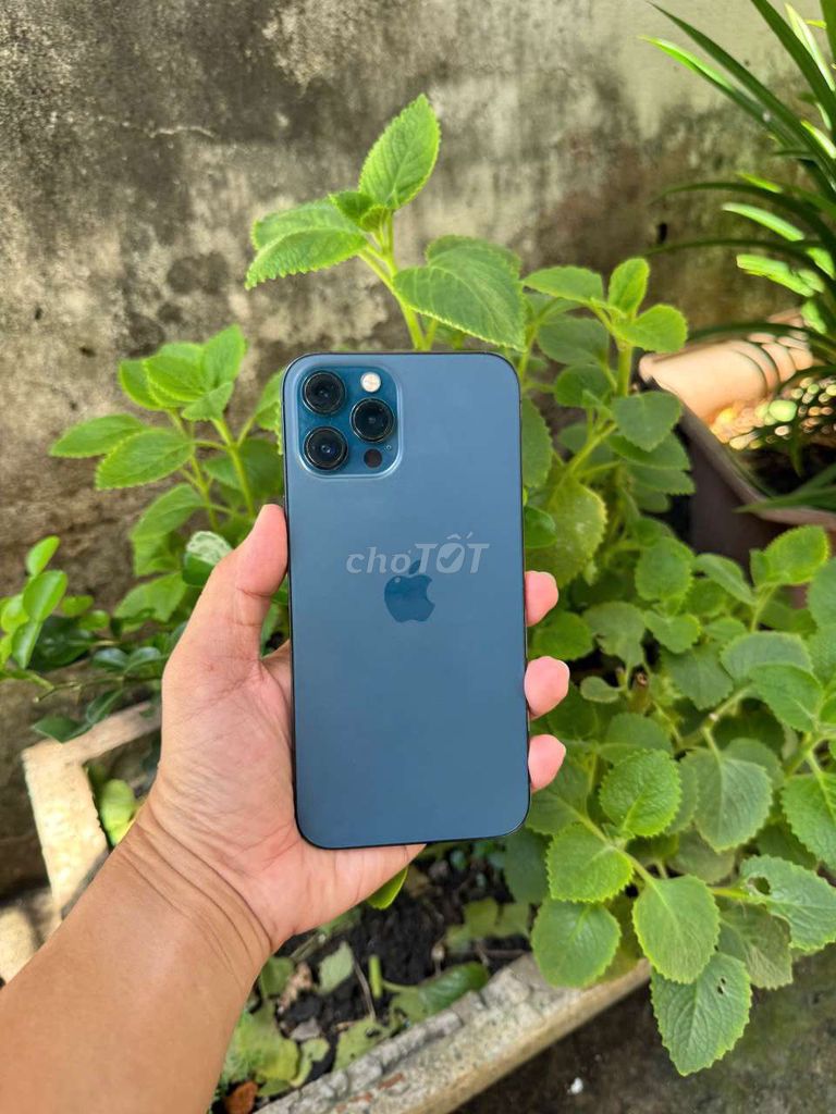 Apple iPhone 12 Pro Max 128GB Xanh. Mua bán Điện thoại tại Quận Gò Vấp Tp Hồ Chí Minh được đăng bởi Thuc Nguyen hình 1