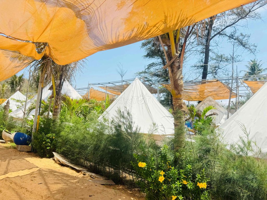 MỘT NHÂN VIÊN TẠP VỤ TIẾN THÀNH PHAN THIẾT. Việc làm Tạp vụ tại Thành phố Phan Thiết Bình Thuận được đăng bởi Vi Tường hình 1