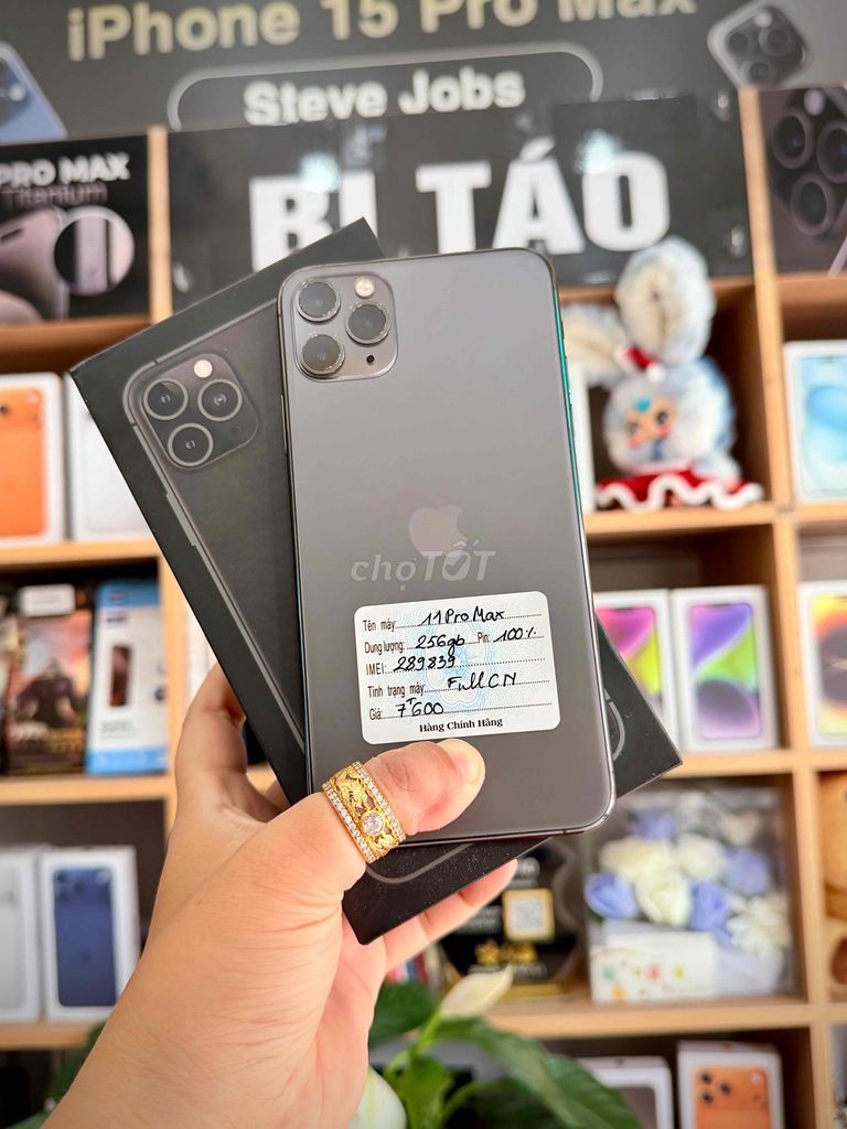 Apple iPhone 11 Pro Max 256GB Xám. Mua bán Điện thoại tại Thành phố Long Xuyên An Giang được đăng bởi Bi Táo Store hình 1