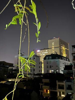 Nhà phố 90 m² · 11 PN · Phố Xã Đàn