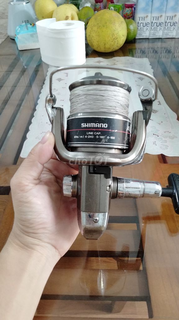 Máy Câu cá Shimano Alivio 6000