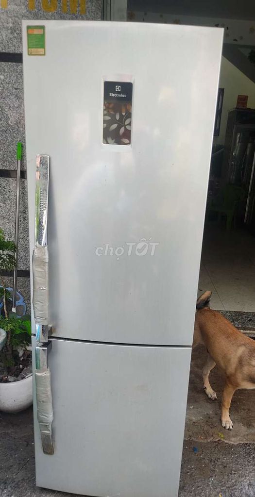 Tủ lạnh Electrolux 250l ngăn mát trên