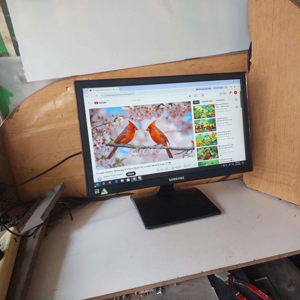 Màn hình LED Samsung 19" có HDMI . Mua bán Phụ kiện (Màn hình, Chuột...) tại Quận 11 Tp Hồ Chí Minh được đăng bởi hb computer hình 1