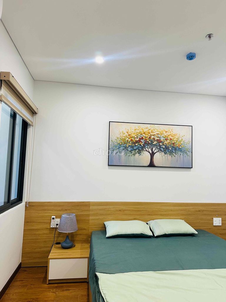 2-bedroom Mia Plaza apartment with rooftop infinity pool — photo 7