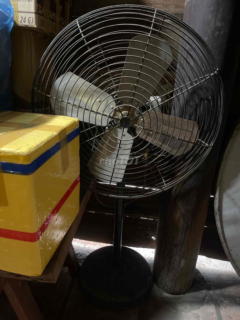 Quạt đứng Kim loại màu Đen. Mua bán Quạt tại Thành phố Dĩ An Bình Dương được đăng bởi ngọc linh hình 1