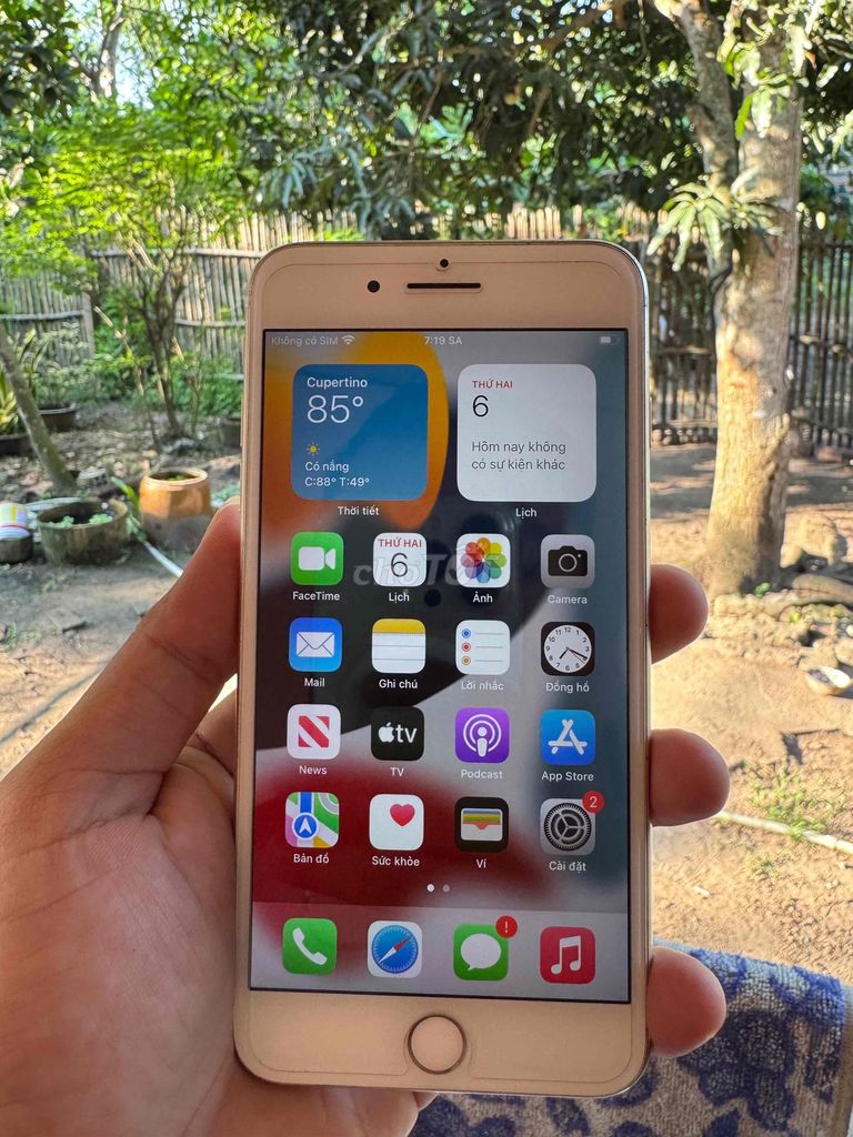Apple iPhone 7 Plus 32GB Vàng hồng. Mua bán Điện thoại tại Huyện Châu Thành Sóc Trăng được đăng bởi Tấn Đạt hình 1