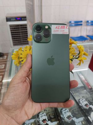 iPhone 13 Pro Max 128GB Xanh Lá. Mua bán Điện thoại tại Thành phố Đồng Xoài Bình Phước được đăng bởi Mai
