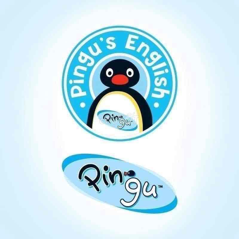 Pingu’s English – Tư Vấn Tuyển Sinh – Thành phố Hải Dương