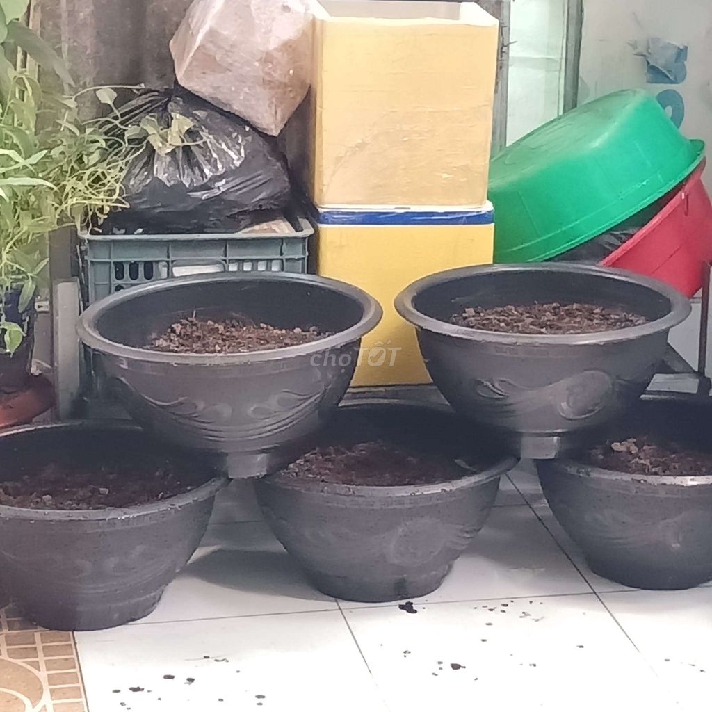 Chậu cây nhựa Đen T48 5 cái. Mua bán Cây cảnh, đồ trang trí tại Quận Bình Tân Tp Hồ Chí Minh được đăng bởi Lê kim phát hình 1