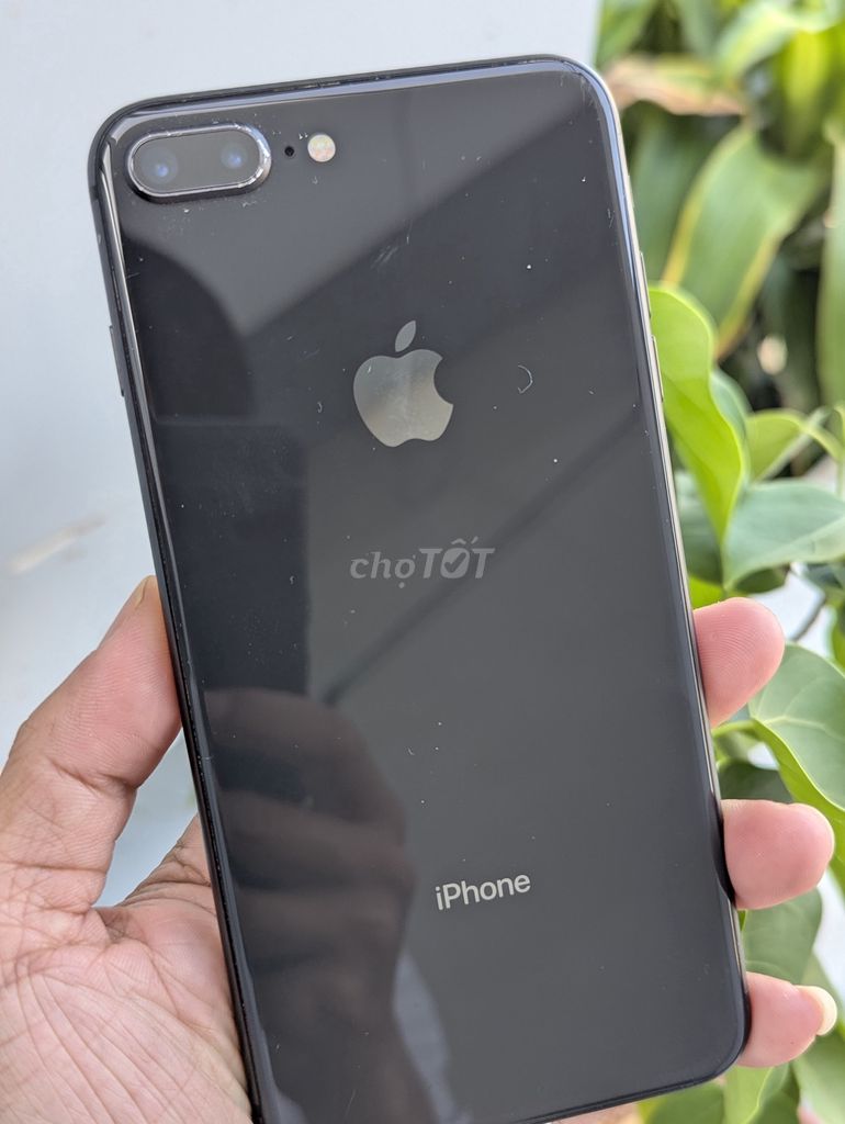 iPhone 8 Plus 64GB Quốc tế. Máy zin chưa sửa chữa. Mua bán Điện thoại tại Huyện Long Điền Bà Rịa - Vũng Tàu được đăng bởi    hình 1