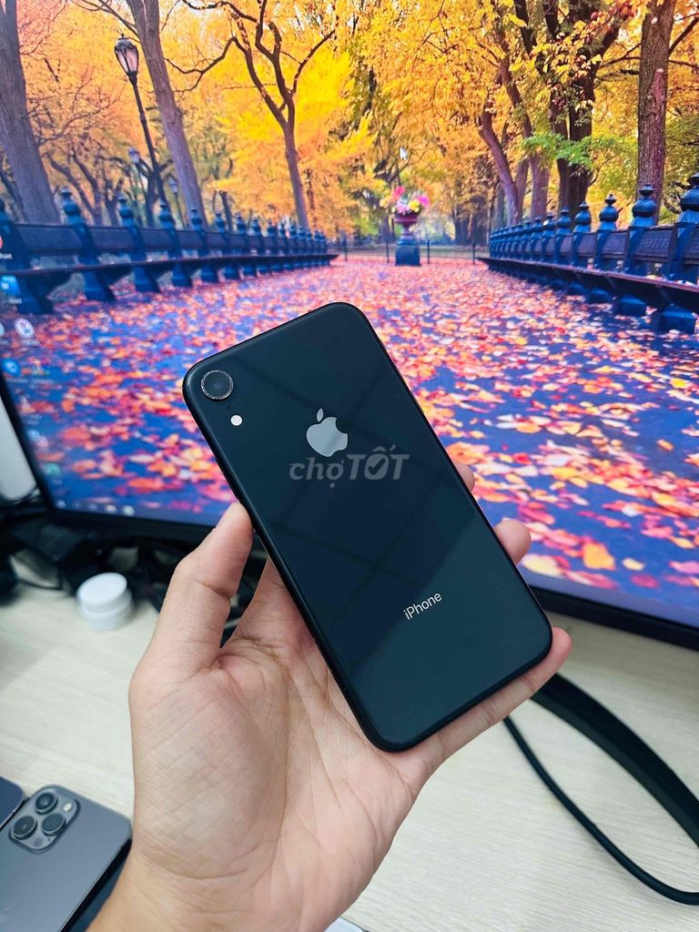 iPhone XR 64GB Quốc tế Full