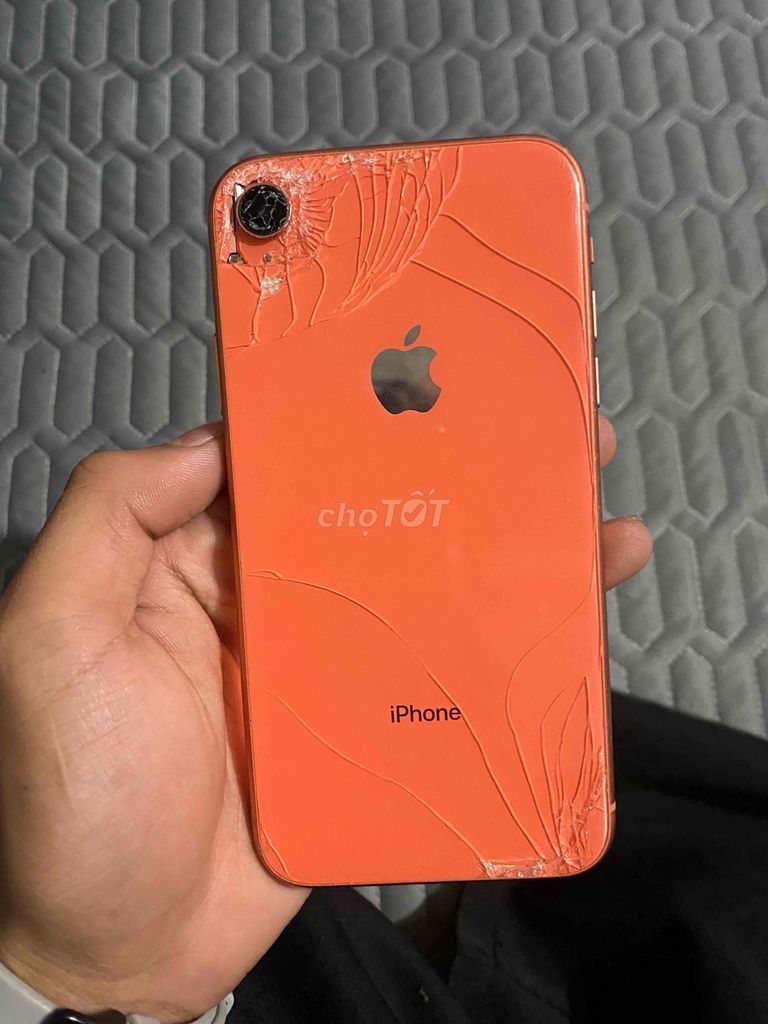 Apple iPhone XR 64GB Cam Không Face ID. Mua bán Điện thoại tại Quận Nam Từ Liêm Hà Nội được đăng bởi Trân Duy hình 1