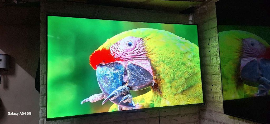 Tivi Xiaomi A Pro 55 inch. Mua bán Tivi, Âm thanh tại Quận Hai Bà Trưng Hà Nội được đăng bởi Miss Sunny hình 1