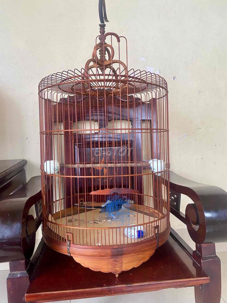 bộ chim đen cam lồng tre già lên nước ,ktl. Mua bán Chim tại Thành phố Long Khánh Đồng Nai được đăng bởi yêu thương hình 1