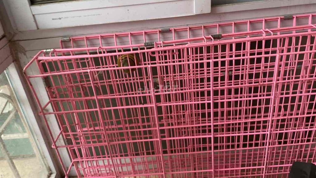 Lồng vận chuyển mèo kim loại Hồng. Mua bán Phụ kiện, Thức ăn, Dịch vụ tại Quận Đống Đa Hà Nội được đăng bởi Dung Thùy hình 1