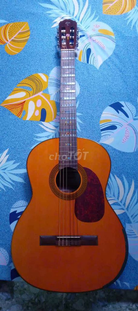Guitar classic takamine