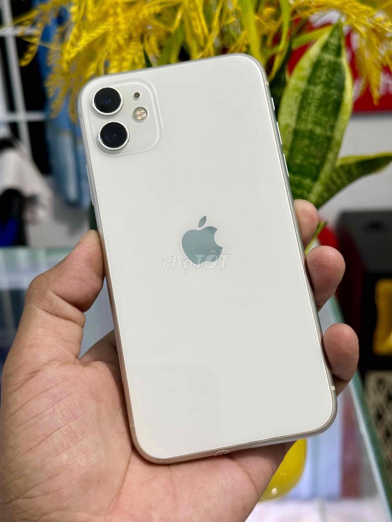 Iphone 11 64G Mất Face. Mua bán Điện thoại tại Thị xã Duyên Hải Trà Vinh được đăng bởi Chợ ĐT Giá Tốt hình 1