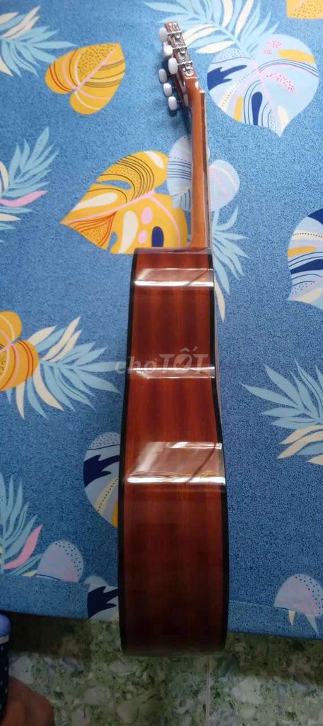 Guitar classic takamine