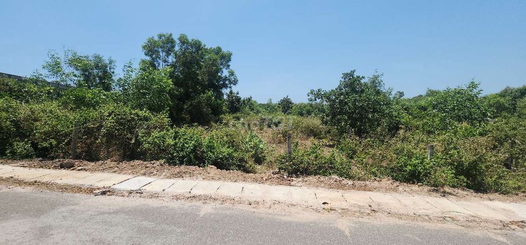 Lô Đất View Rừng, 1000m2, Cách biển Hồ Tràm 500m, SHCC,Tiện KD du lịch